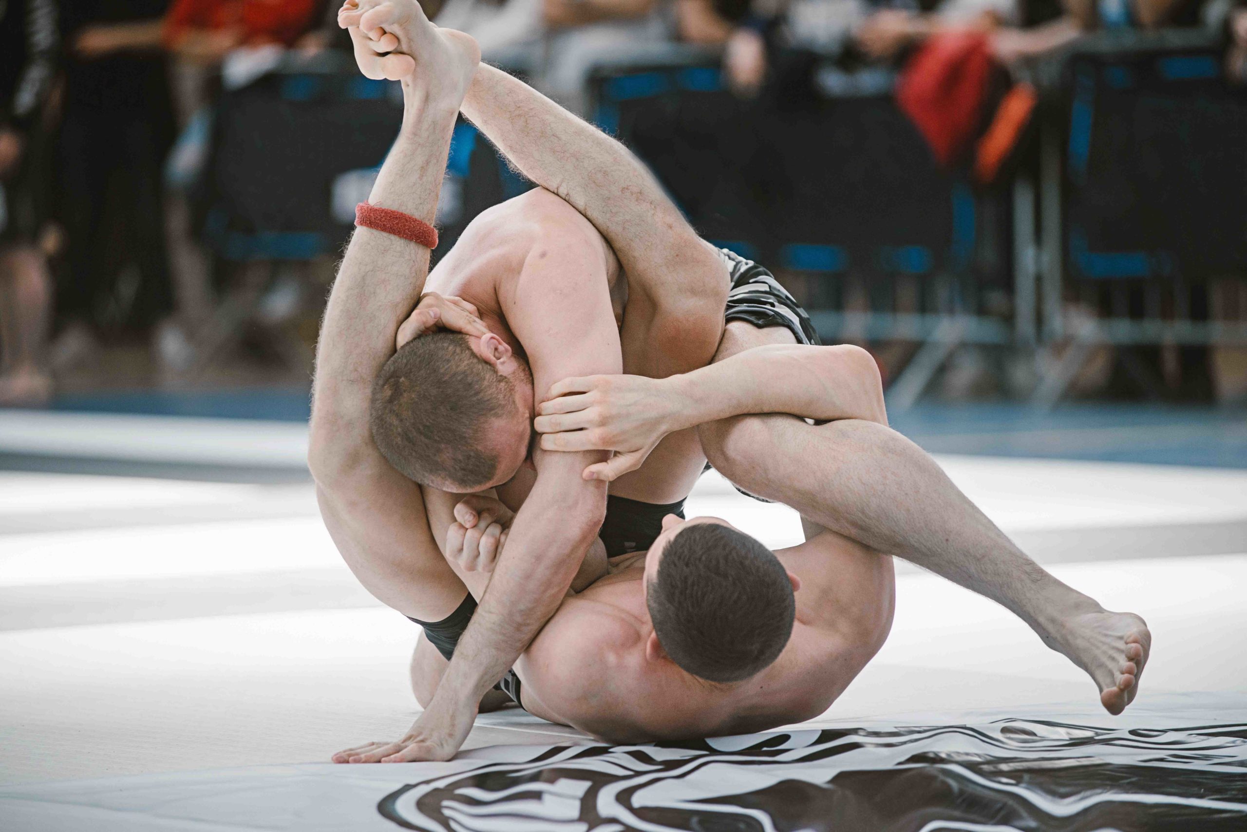 Walka - zawody jiu jitsu Dip Exercises