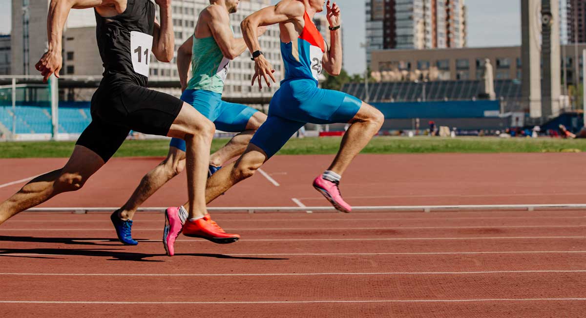 Sprint-3